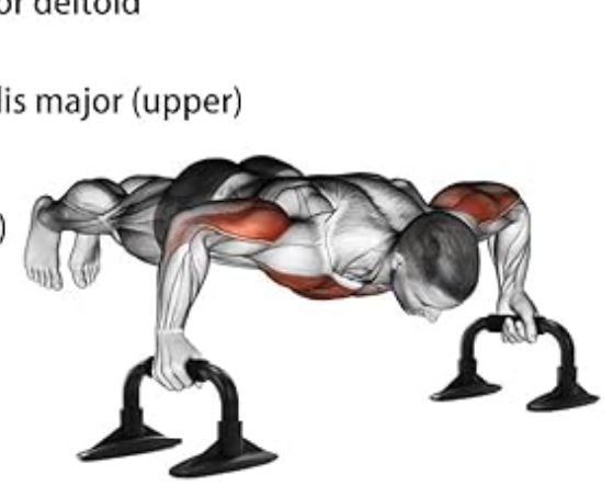 Le kit de sport idéal pour bien débuter à la maison